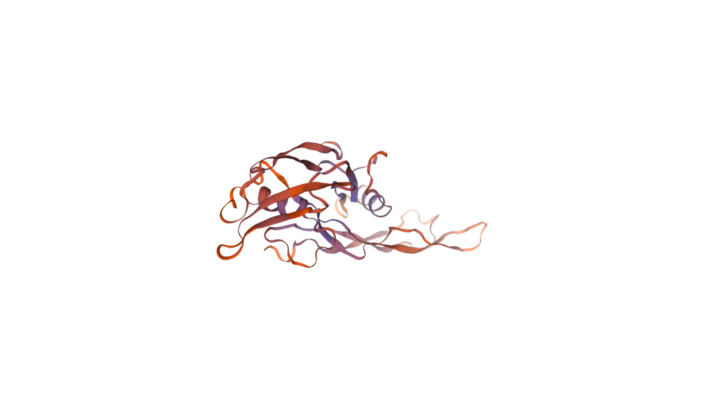 [0399-CSB-EP001666MOa0-03] Recombinant Mouse Muellerian-inhibiting factor (Amh), partial (450-552aa), N-terminal 6xHis-tag, E. coli expression - 1 mg