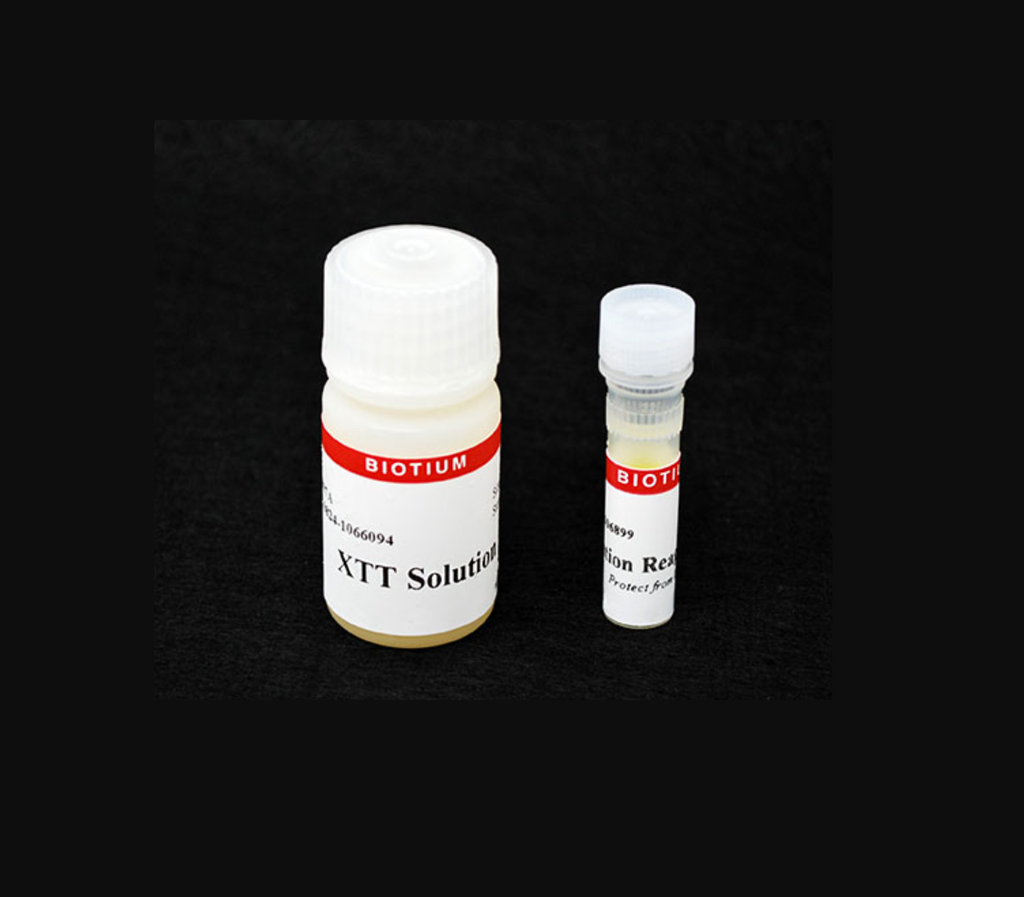 XTT Cell Viability Assay Kit - 1,000 assays