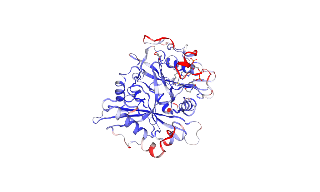Recombinant Human NMT1 protein, N-terminal His Tag - 1 mg