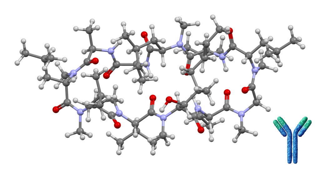 Cyclosporin A Monoclonal Antibody [Clone: 4A3 (CSZ.22)] - 5 mg