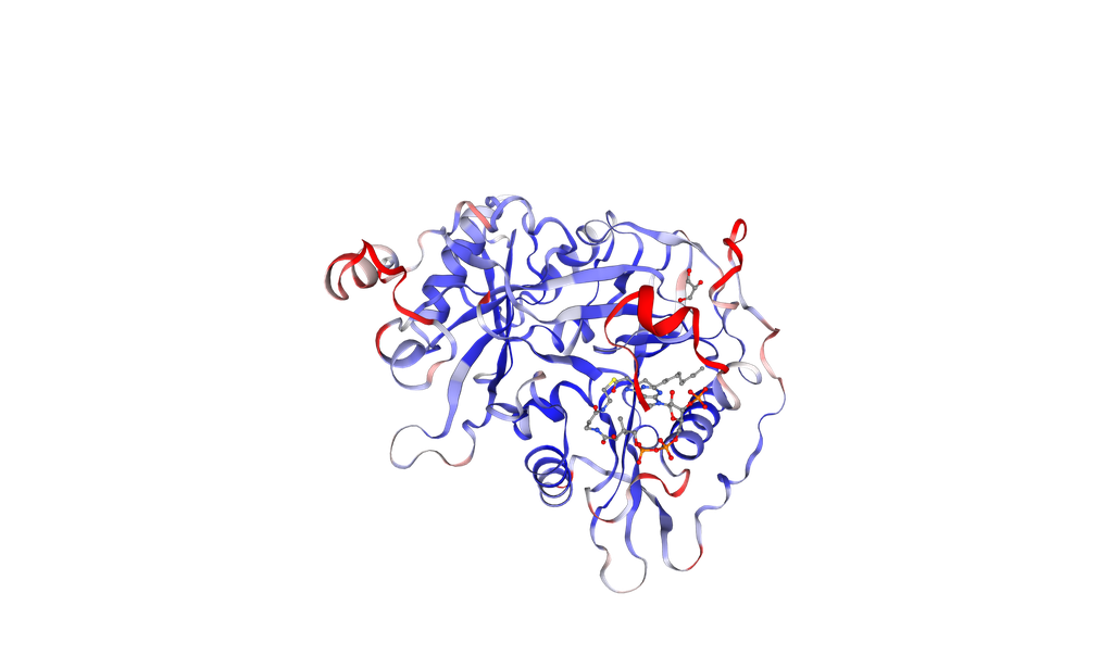 Human NMT1 protein (recombinant, E.coli, His-Tag) - 100 ug