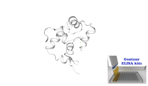 [0855-ELK3556-96T] Human TNNI2 (Troponin I Type 2, Fast Skeletal) ELISA Kit - 96 wells plate